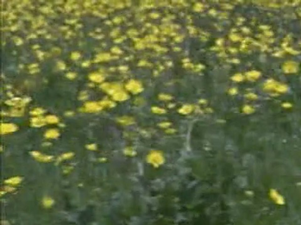 Malatya-Genel