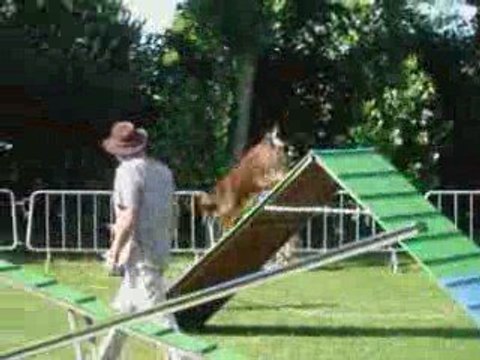 Concours semi nocturne à Ouistréham le 27 juin 2009