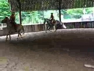 Détente Manon et Notice / Émilie et Trois Toll