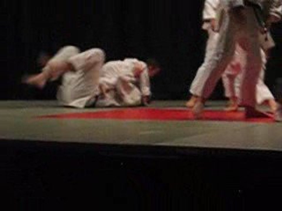 Maël spectacle judo