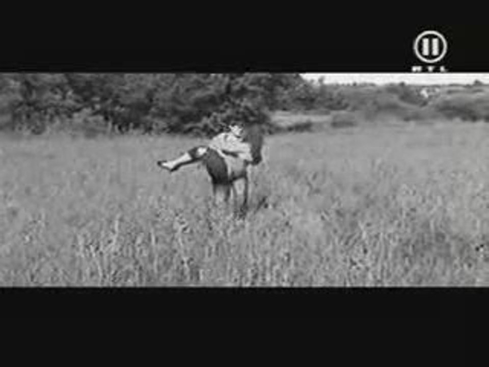 Shahrukh Khan (Salim) & Preity Zinta (D