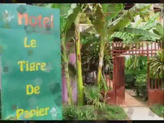 Le Tigre de Papier - Siem Reap