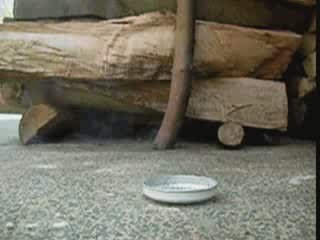 First Test Black Powder