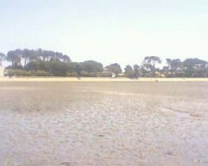 ANDERNOS LES BAINS " MARREE BASSE "