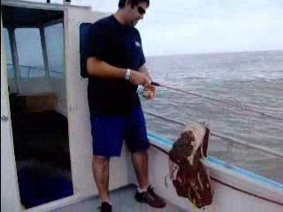 labernique en action de peche