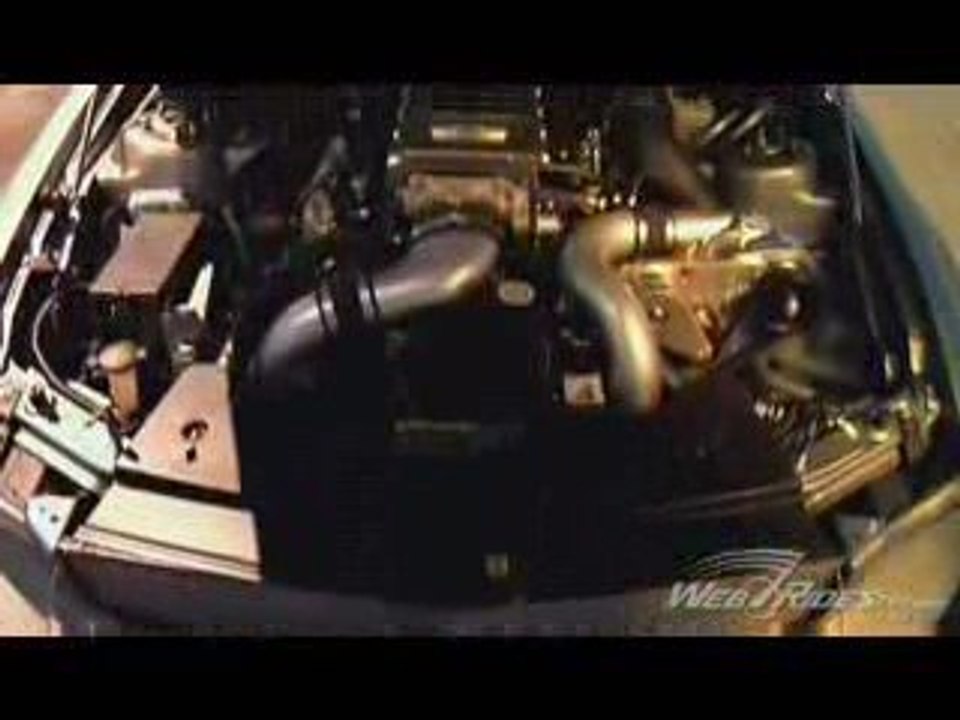 Ronaele Mustang Eleanore