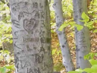 Québec octobre 2008