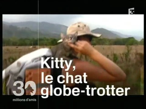 Kitty, le chat globe-trotter - TURNOFTHEWORLD