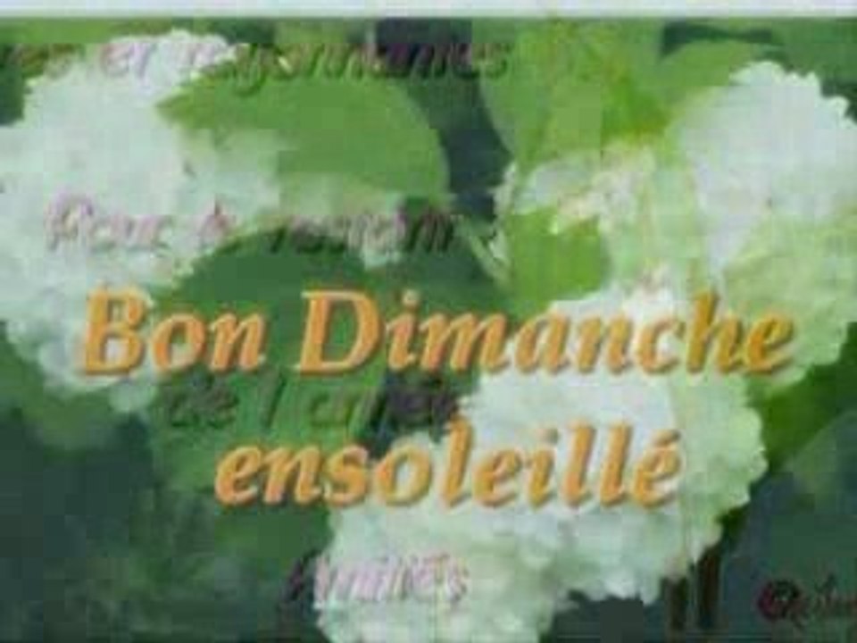 amitié