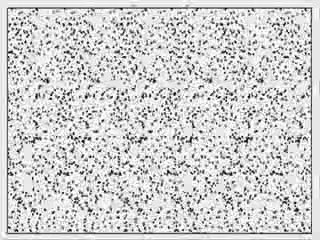 Magic Eye and Binural Beats Combined, Experiment.