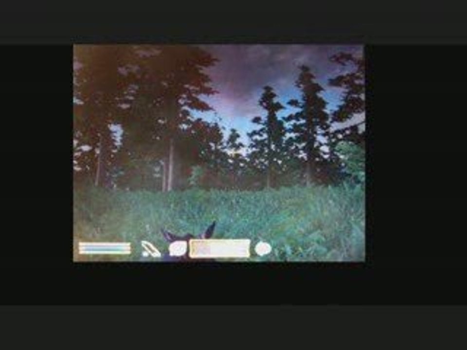 oblivion environement