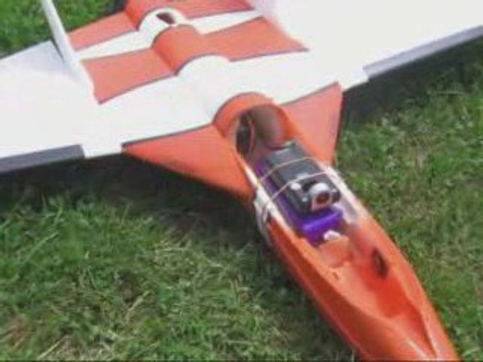 vols RC Cadenbronn juin 2009