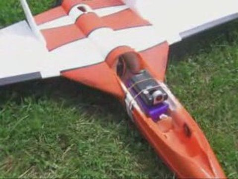 vols RC Cadenbronn juin 2009