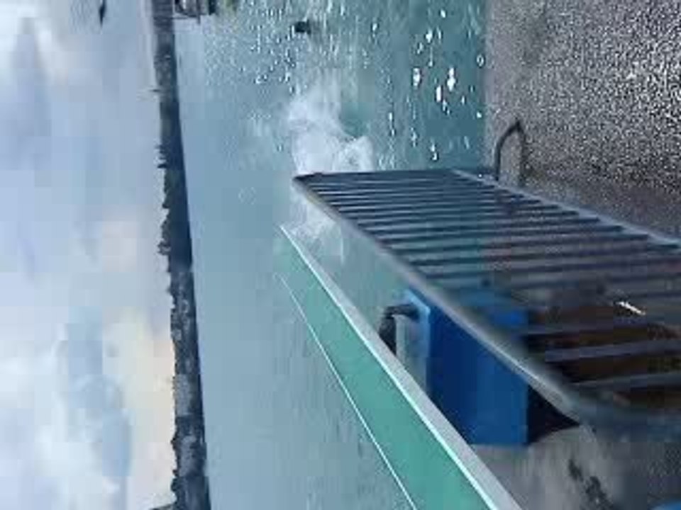 Balou coup de pied lune