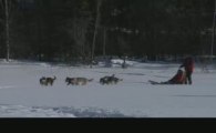 Balade en traîneau à chiens -  Saskatchewan, Canada
