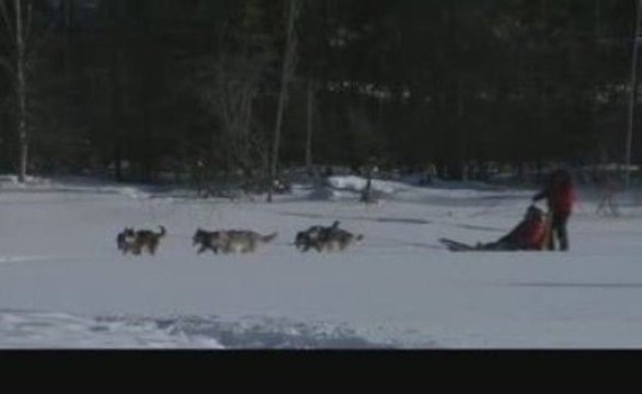Balade en traîneau à chiens - Saskatchewan, Canada