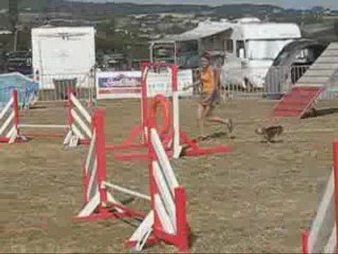 Concours agility Annonay Biki