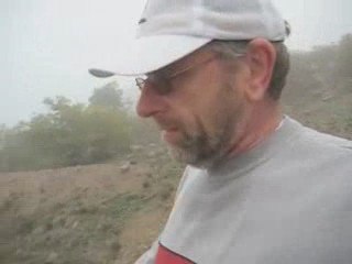 Jogging through a mob of kangaroos