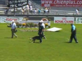 Ulko Finale Ring 2009