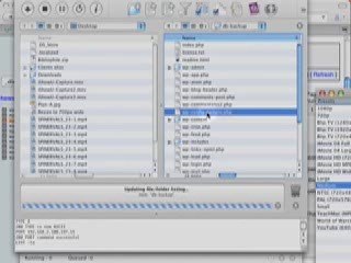 Installing WordPress from a Database Backup