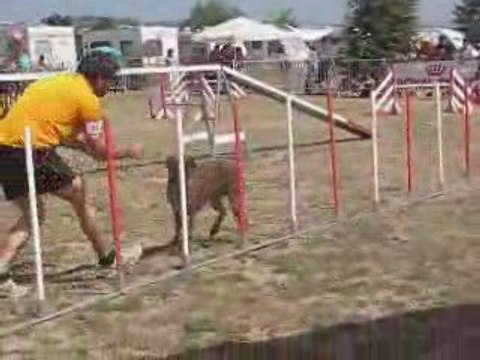 best agility annonay, 2ème!