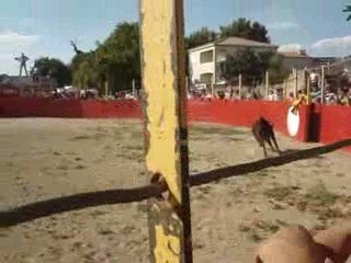 Simon - Mano a Mano - Féria de Vendres 2009