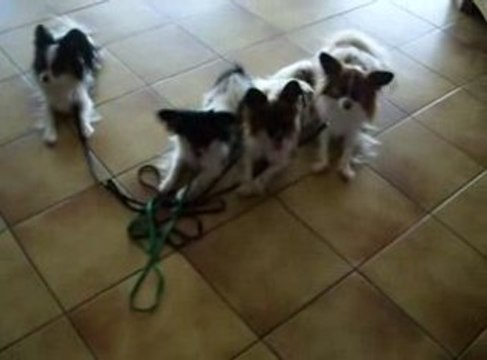 Le couché puis tu viens