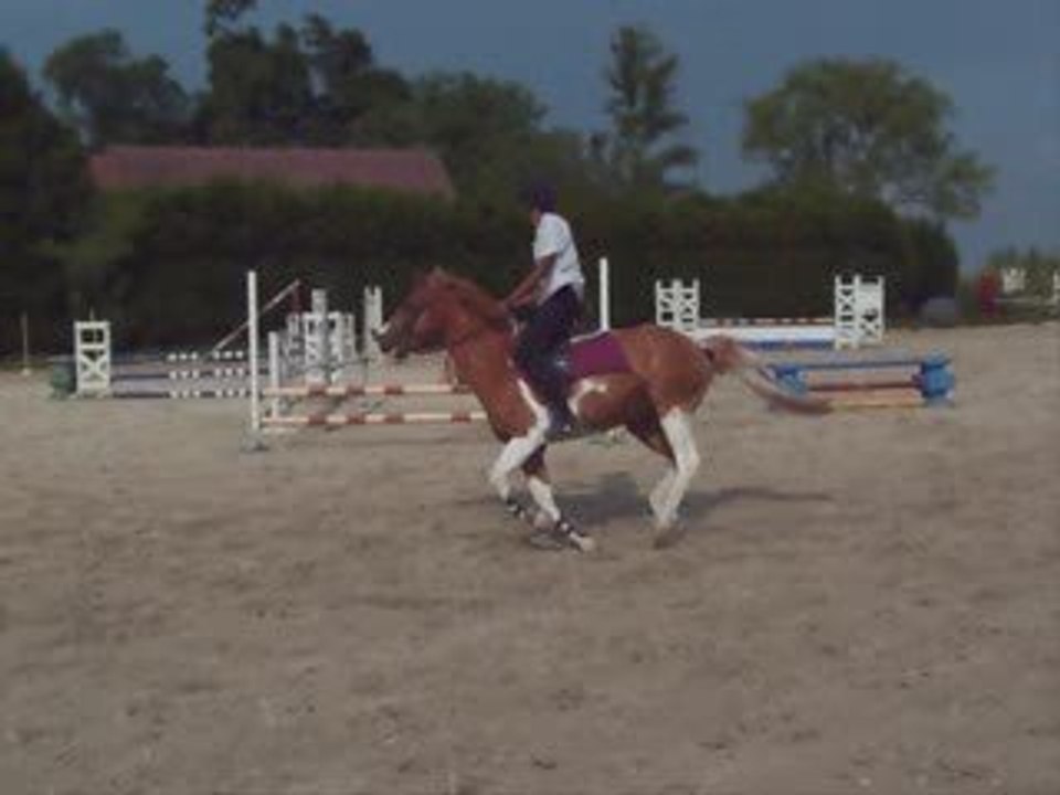 Cso Handy Boy & Moi