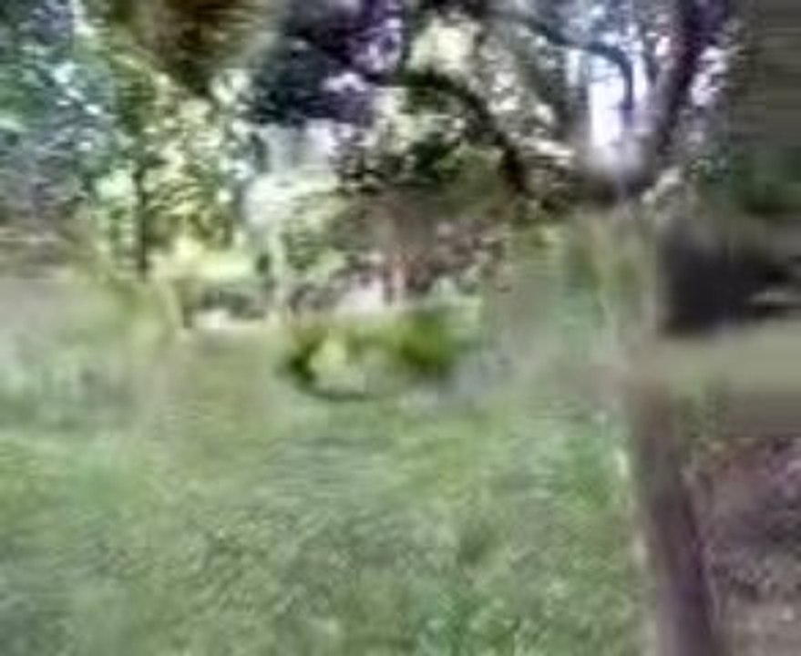 fumigène