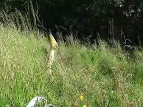 Au pays des espadrilles