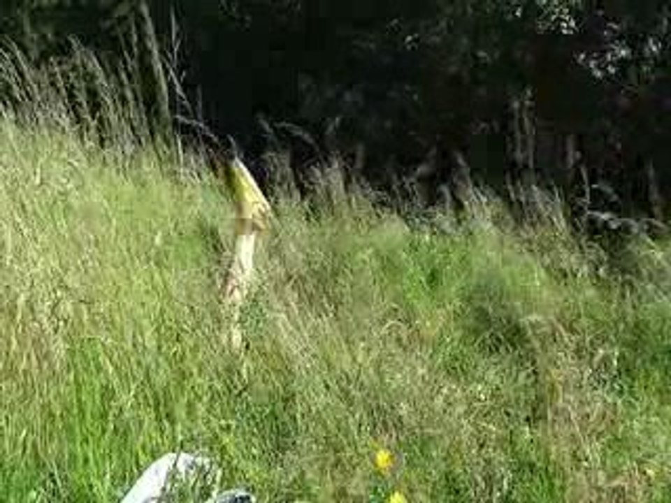 Au pays des espadrilles