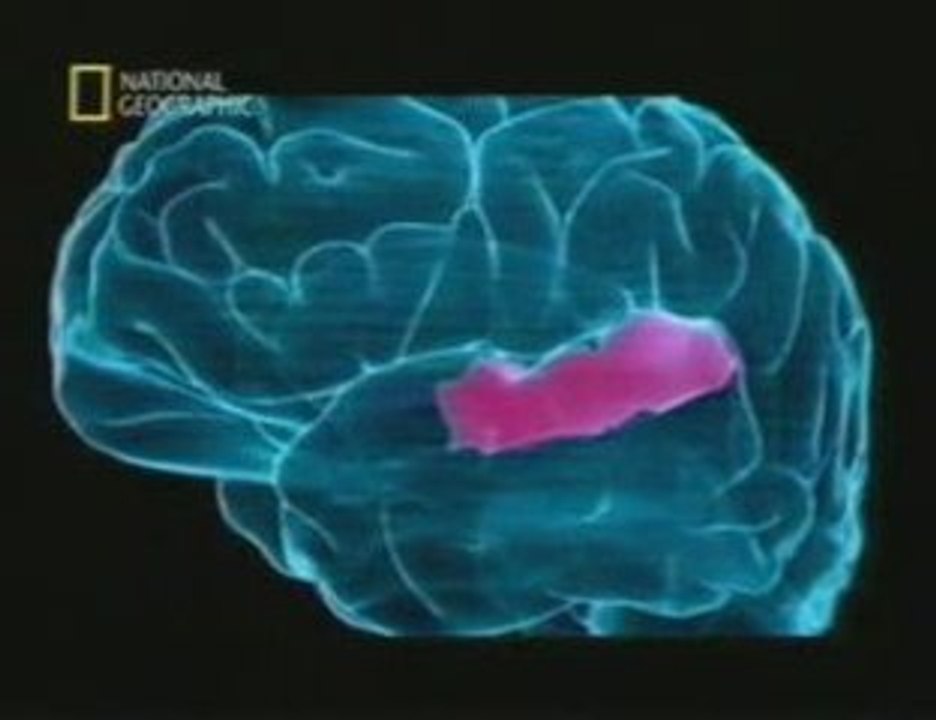 Musica para el cerebro: Gottfried Schlaug
