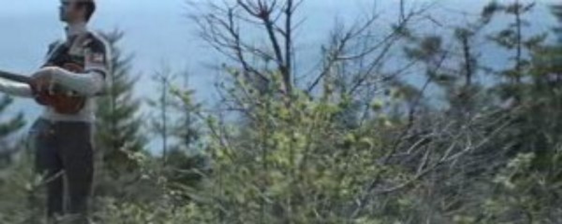 Dirty Projectors - 'Stillness Is The Move'