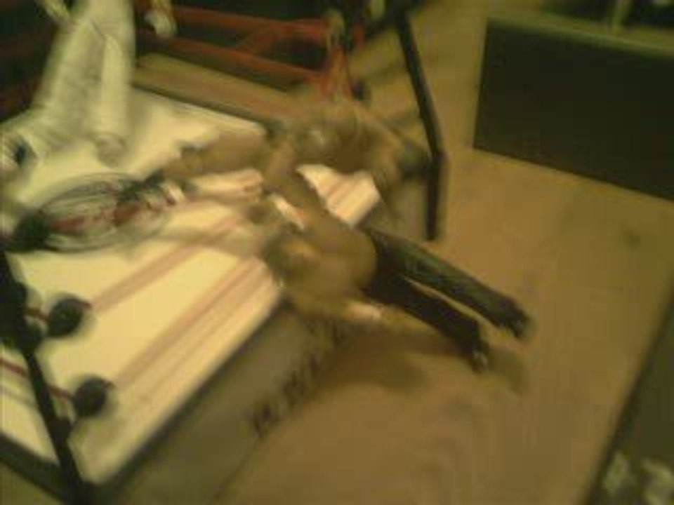 catch 11 royal rumble match