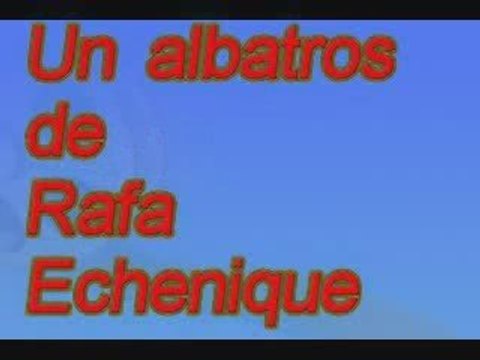 Un albatros de Rafa Echenique Juin 09