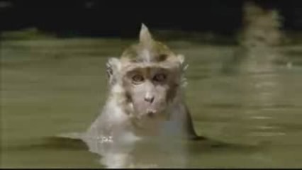 Planeta Tierra - 03 Agua dulce 5/5