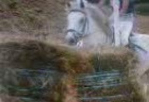 Sans Titreniiccolo et mwa en complet a la ménardiere (cross)