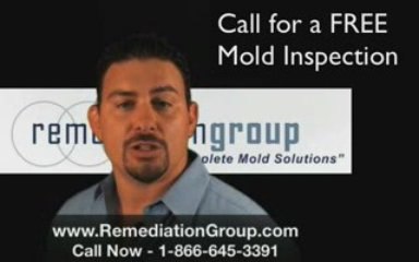 {Remediation Group} Atlanta Mold Remediation Atlanta Ga Mold