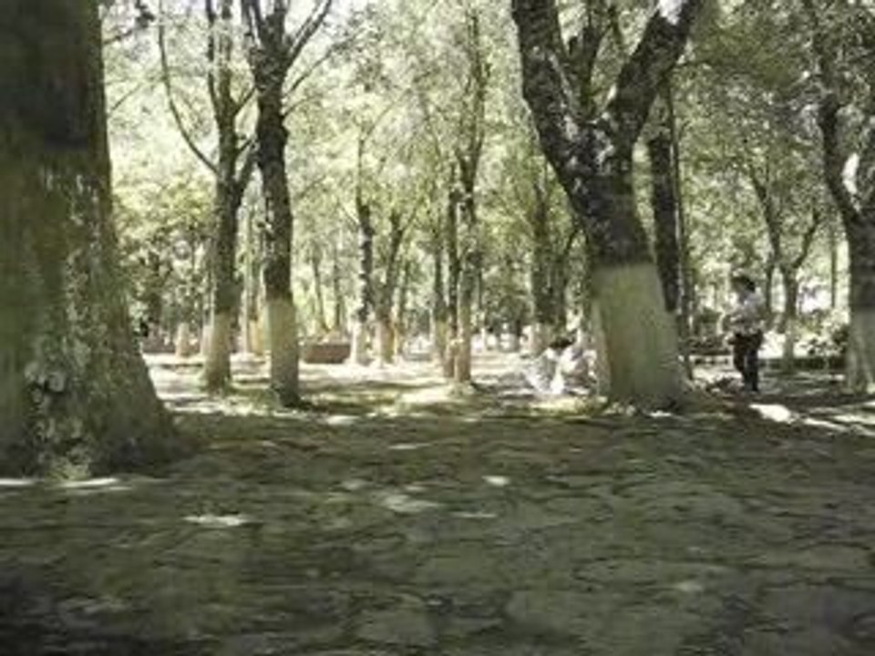 Imouzar Vid3