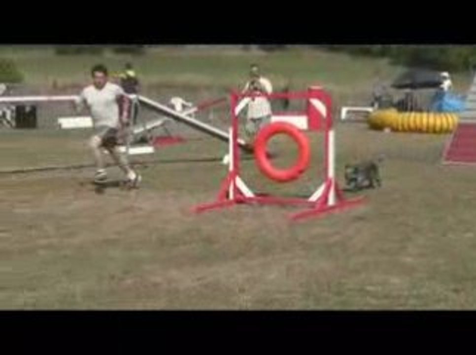 Blueberry Open Agility Annonay 28/06/2009