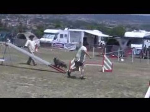 Blueberry Degre Agility Annonay 28/06/2009