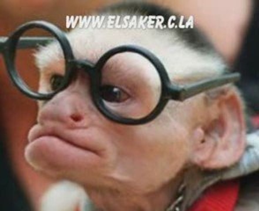 (el risala 1)Yaaa baacha3 Atahsibou Anaka Bogos