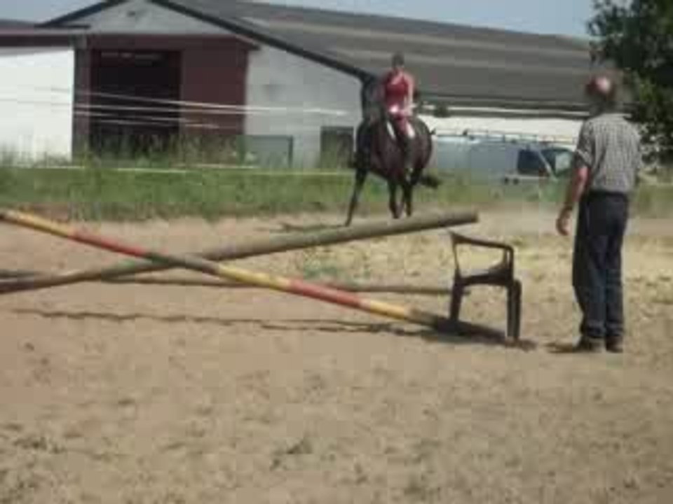 qucikie saut