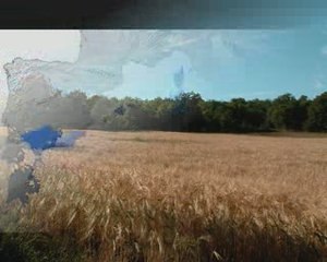 Première guerre punique (Partie 1) : Histoire de Carthage