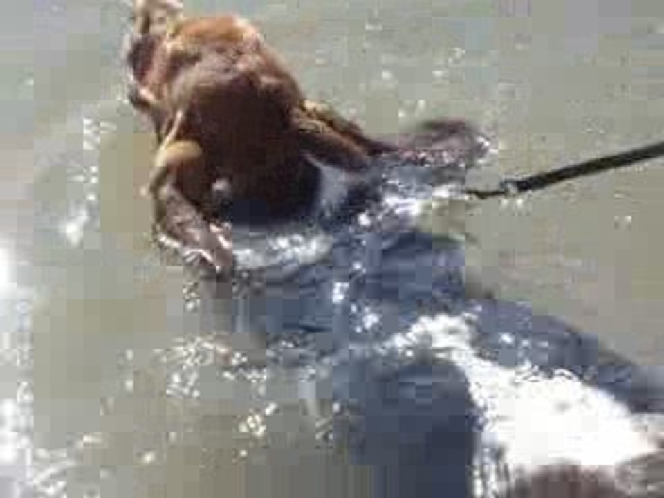 Lilly et la natation
