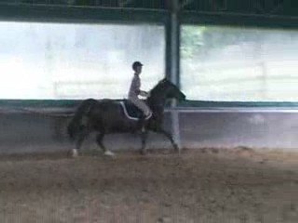 Habit & moi