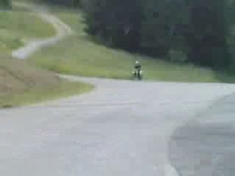 Pointe polini D50 pvl ana