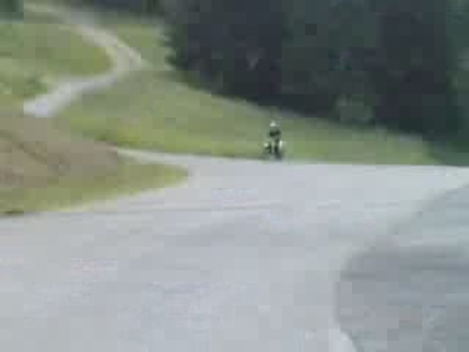 Pointe polini D50 pvl ana