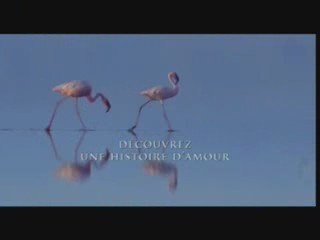 Bande Annonce Pink Flamingos