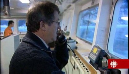 Découverte - Le Saint-Laurent virtuel